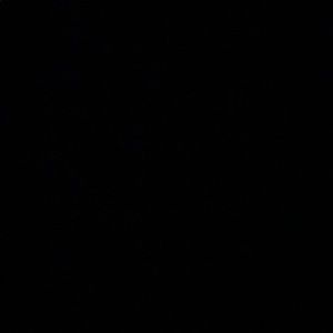 Meet your Posher, Ali